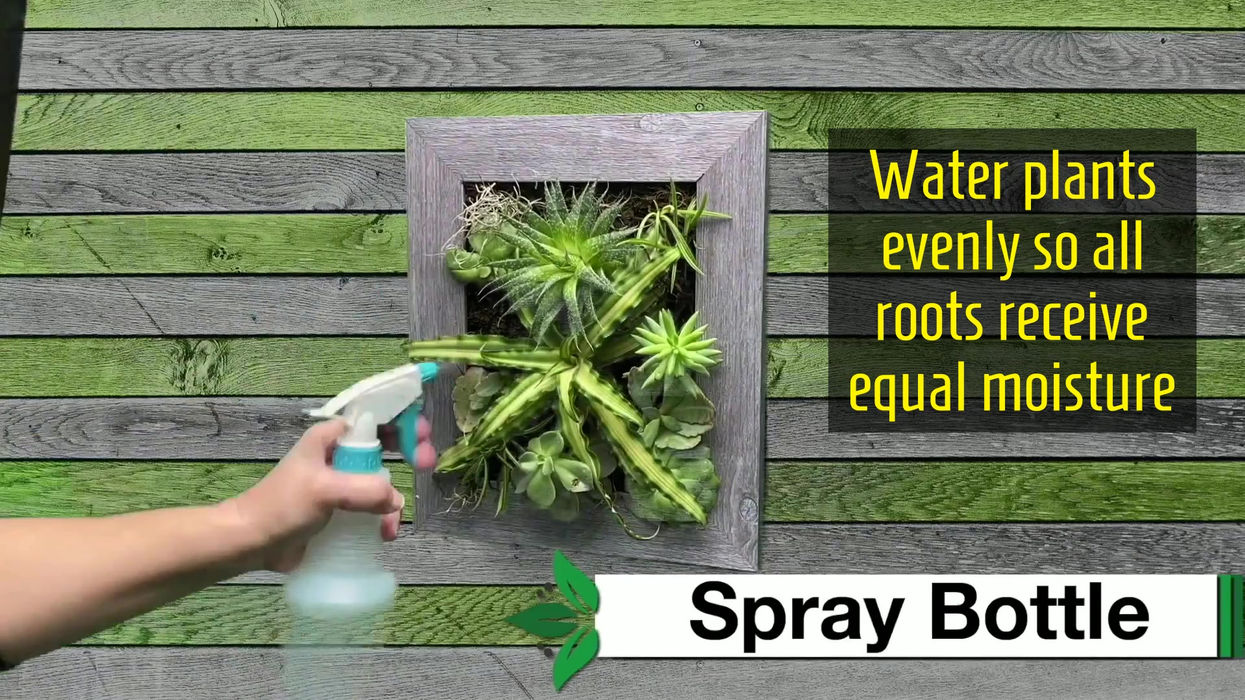 5 Ways To Water